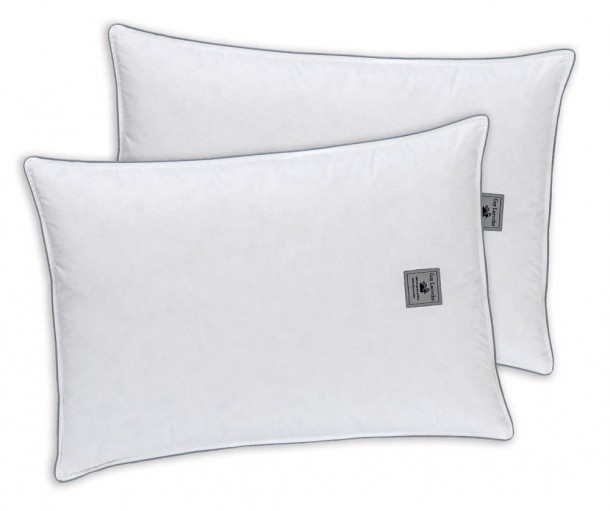 ZΕΥΓΟΣ ΜΑΞΙΛΑΡΙΩΝ GUY LAROCHE 50x70 SIBERIAN GOOSE