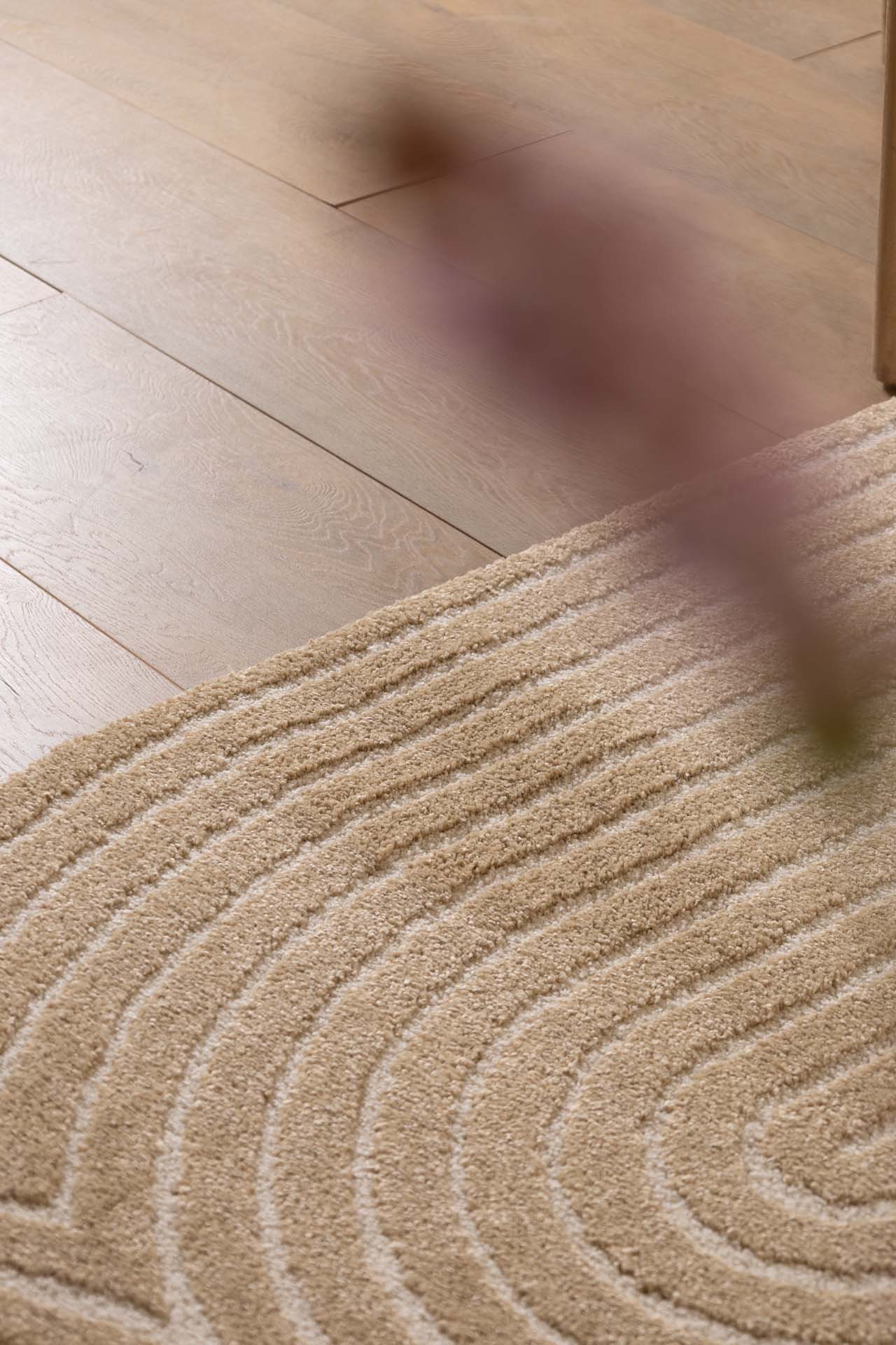 Χαλί Cocoon 59602 861 Royal Carpet - 120 x 170 cm