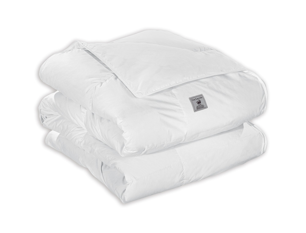 Πάπλωμα Πουπουλένιο Μονό Guy Laroche Regular+Δώρο Πάπλωμα (160X220)