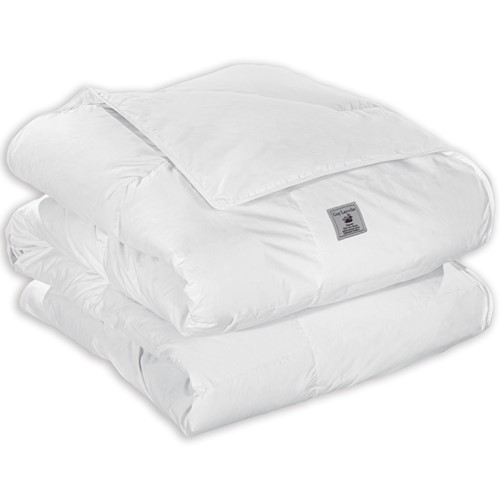 Πάπλωμα Πουπουλένιο Μονό Guy Laroche Regular+Δώρο Πάπλωμα (160X220)